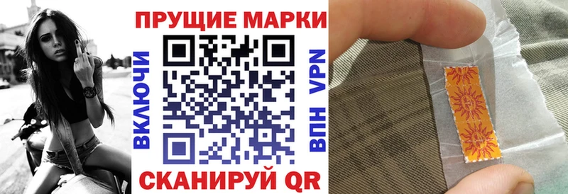 закладка  Устюжна  Марки N-bome 1500мкг 