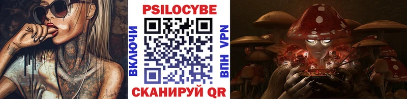 Псилоцибиновые грибы ЛСД  Устюжна 